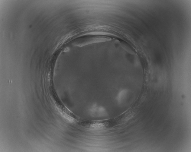 X0000078030357200610271306