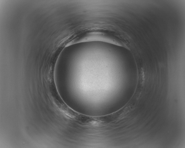 X0000078030364200610271306
