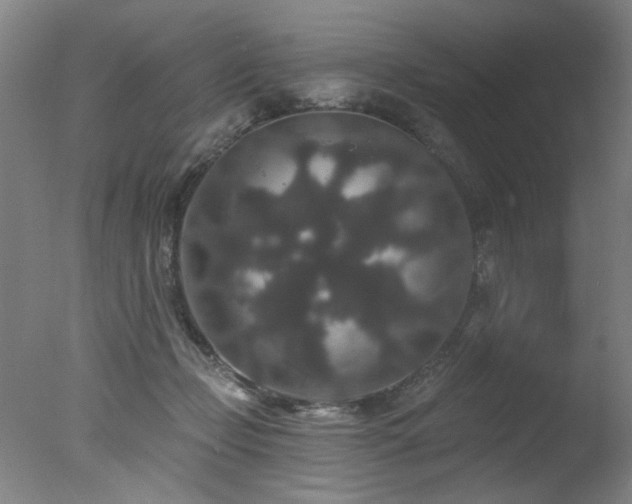X0000078030365200610271306
