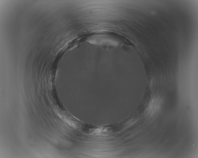 X0000078030366200610271306