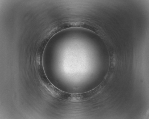 X0000078030368200610271306