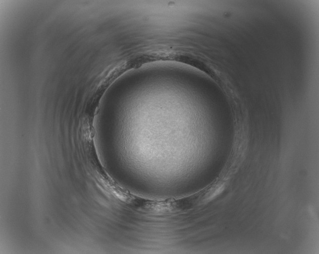 X0000078030384200610271306