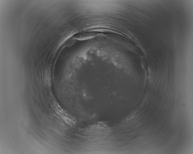 X0000078030386200610271305