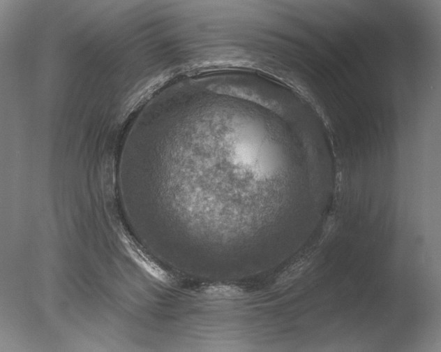 X0000078030397200610271305