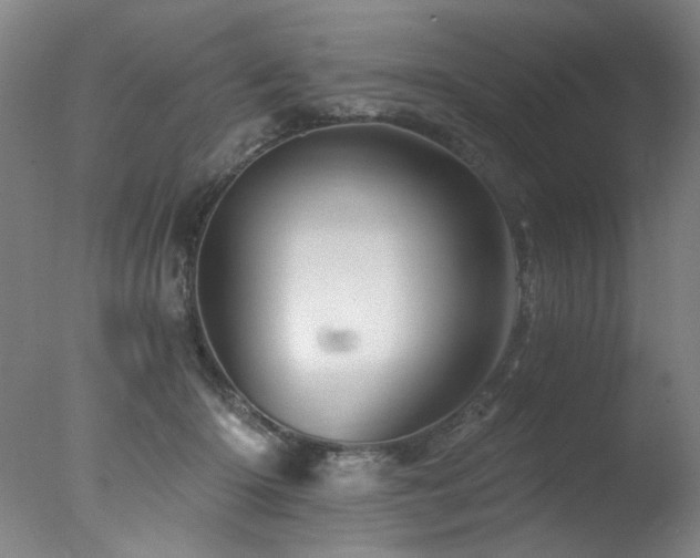 X0000078030414200610271305