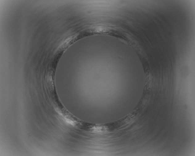 X0000078030415200610271305