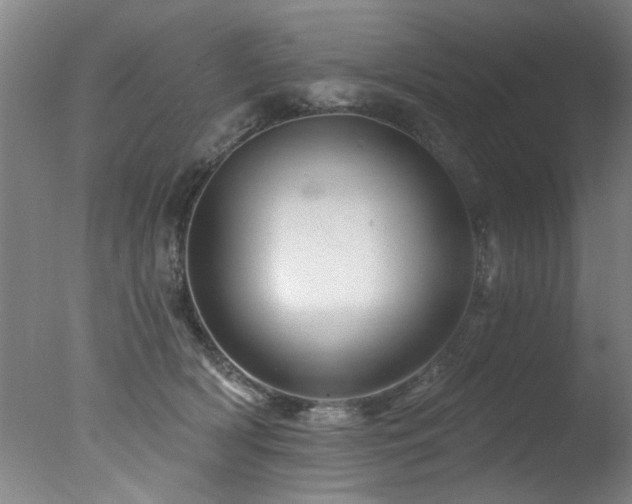 X0000078030418200610271305