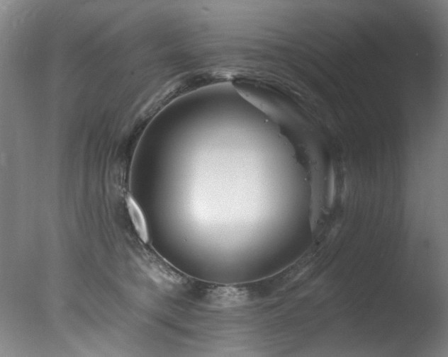 X0000078030421200610271305
