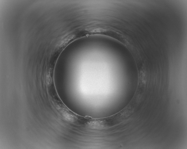 X0000078030422200610271305