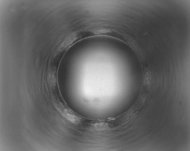 X0000078030426200610271304