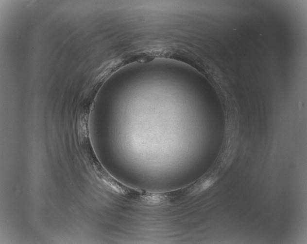 X0000078030432200610271304