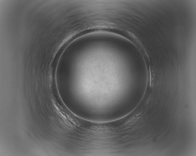 X0000078030435200610271304