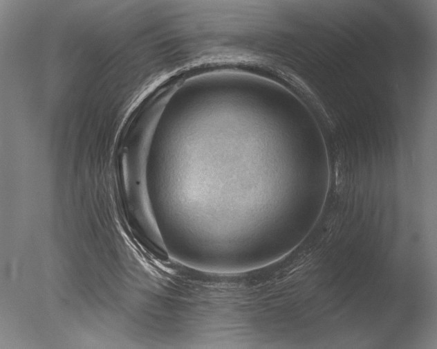X0000078030436200610271304