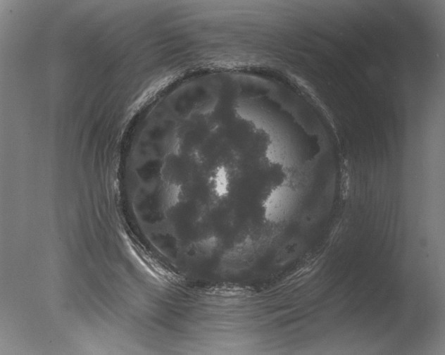 X0000078030443200610271304
