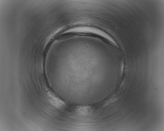 X0000078030446200610271304
