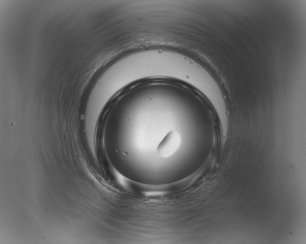 X0000078030447200610271304