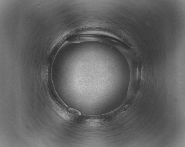 X0000078030448200610271304