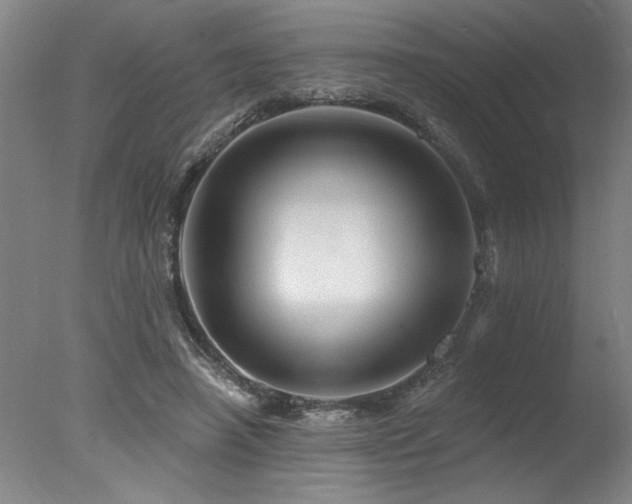 X0000078030450200610271304