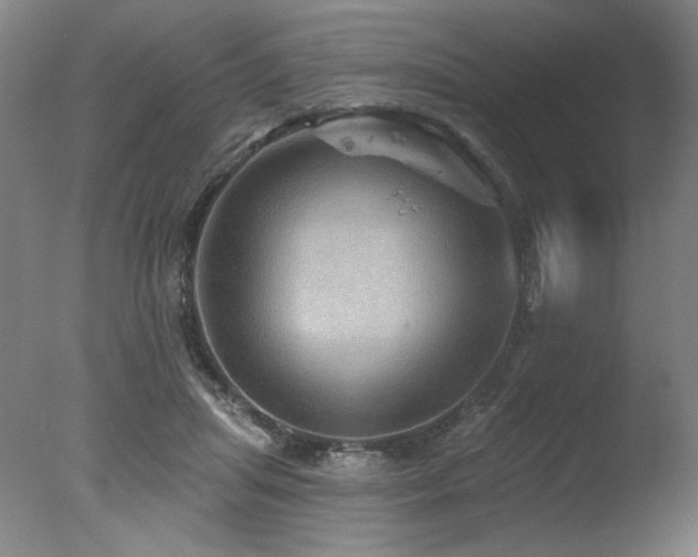 X0000078030455200610271304