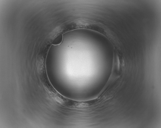X0000078030463200610271304