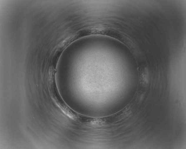 X0000078030468200610271304