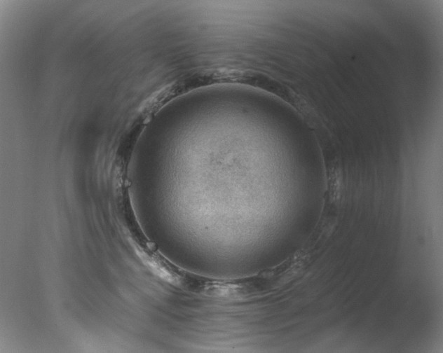 X0000078030472200610271304