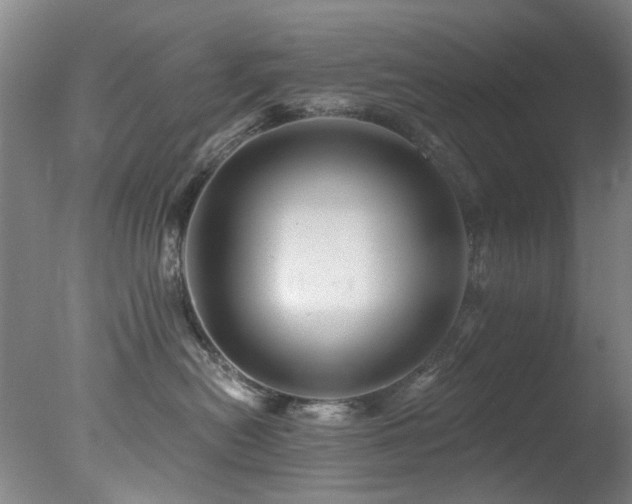 X0000078030478200610271304