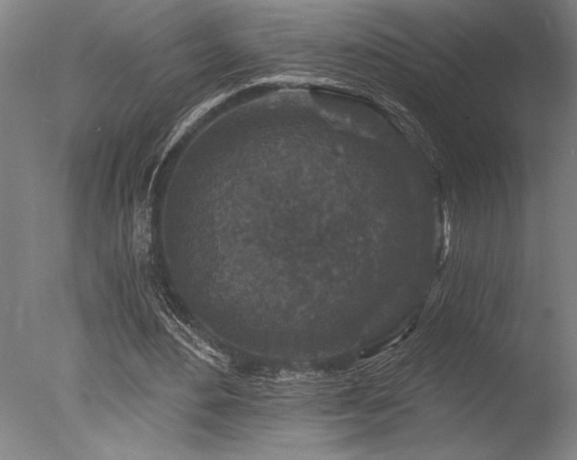 X0000078030484200610271304