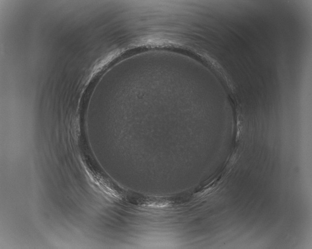 X0000078030488200610271303