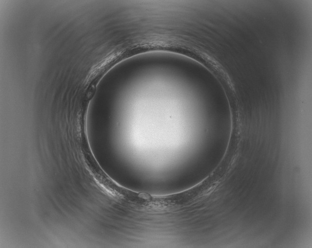 X0000078030489200610271303