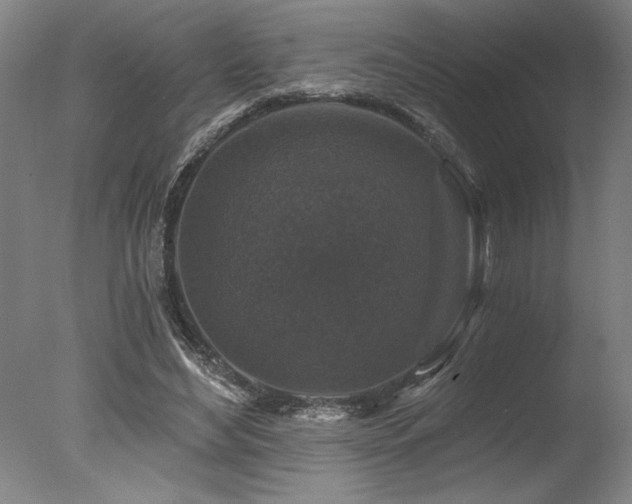 X0000078030492200610271303