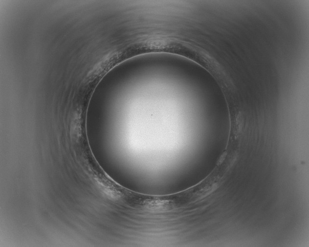 X0000078030497200610271303