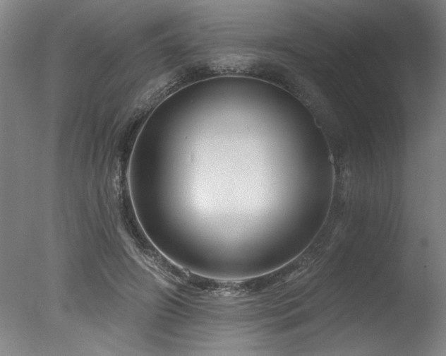 X0000078030498200610271303