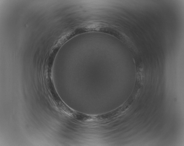 X0000078030504200610271303