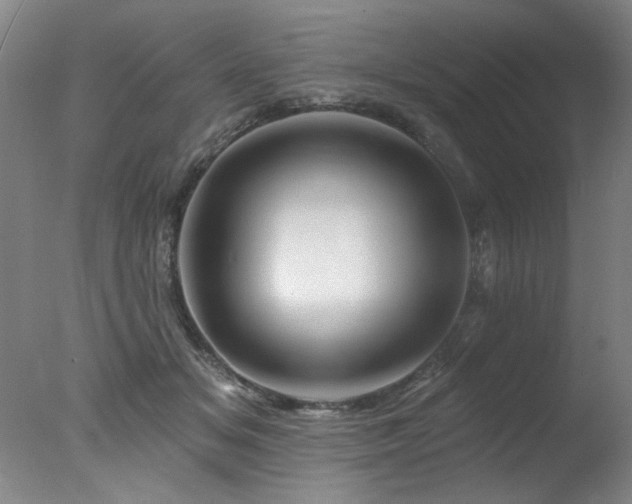 X0000078030509200610271303