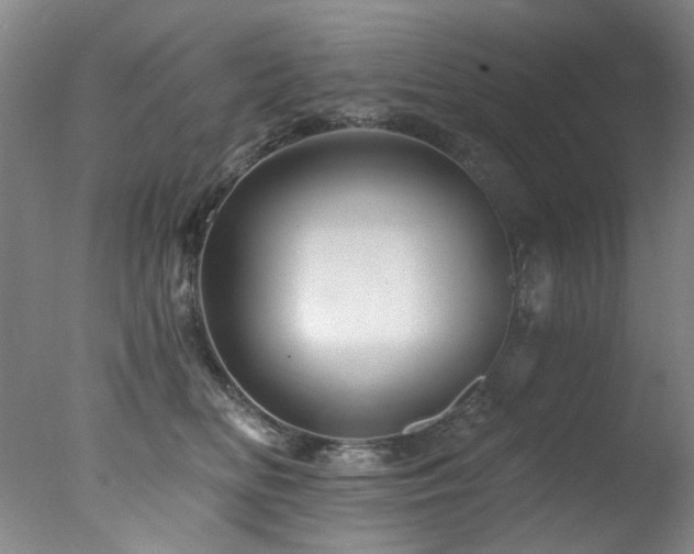 X0000078030518200610271303