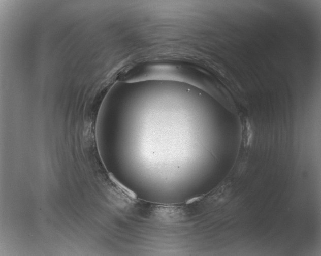 X0000078030521200610271303