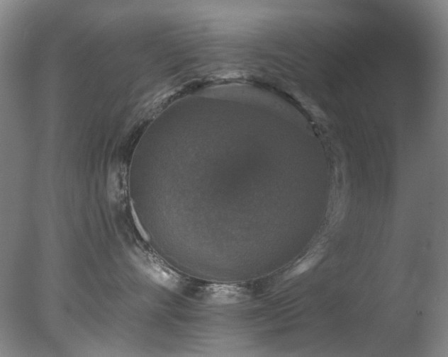 X0000078030528200610271303