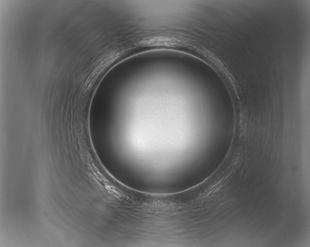 X0000078030529200610271302