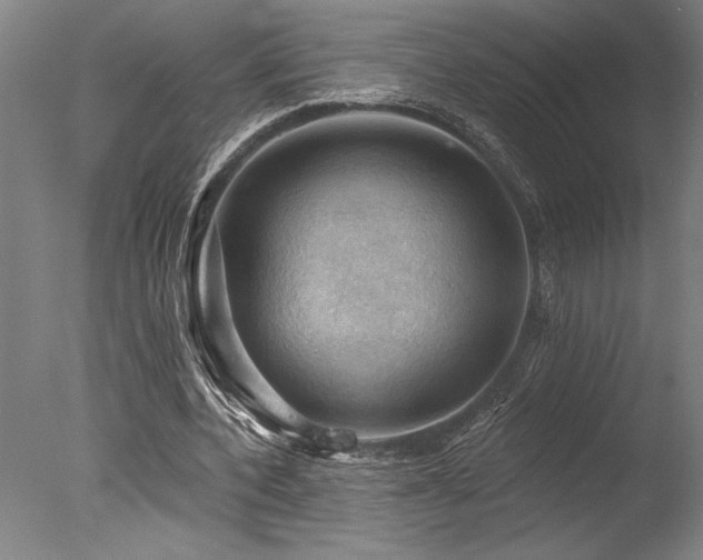 X0000078030532200610271302