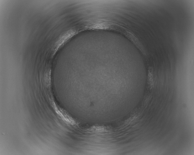 X0000078030534200610271302