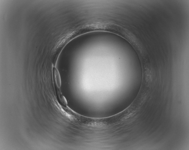 X0000078030537200610271302