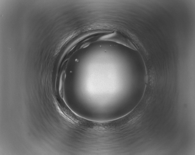X0000078030538200610271302