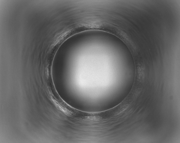 X0000078030541200610271302