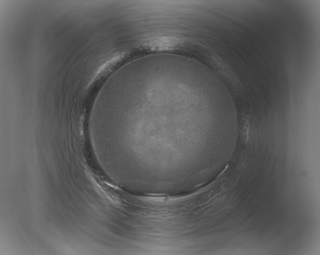X0000078030543200610271302