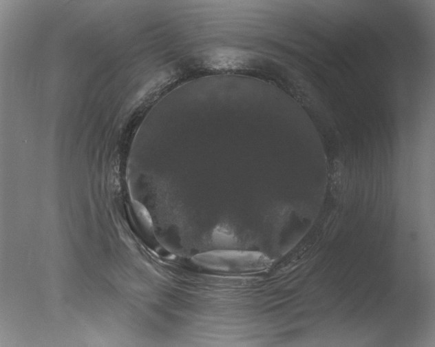 X0000078030547200610271302
