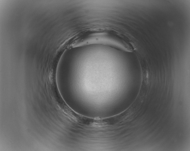 X0000078030556200610271302