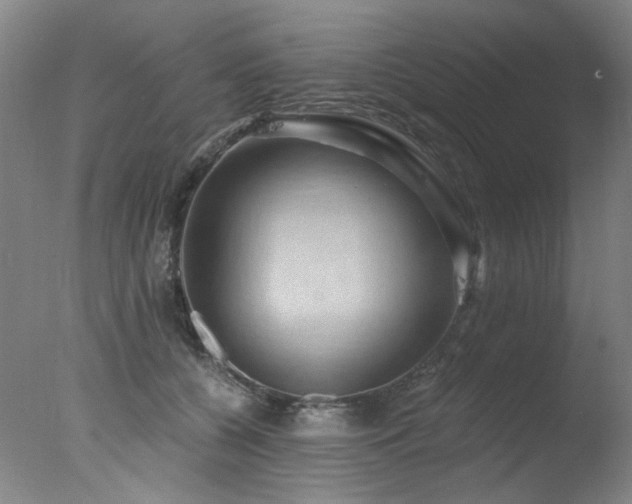 X0000078030560200610271302