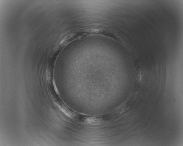 X0000078030568200610271303