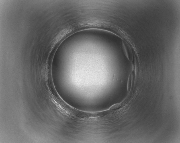 X0000078030578200610271302